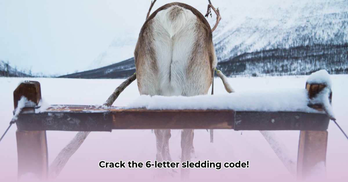 retour-sledetocht-in-amerika-6-letters